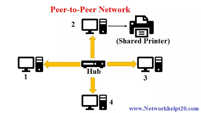 Computer Network - Peer-to-Peer Network.