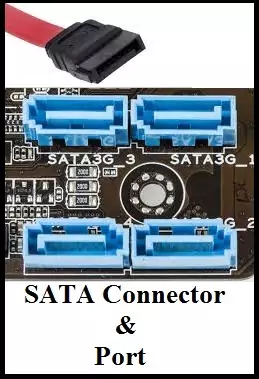 Computer Motherboard Components - SATA Connecter.